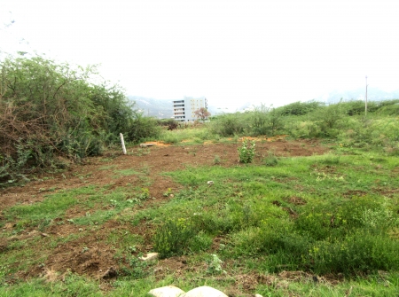 2) Li Id 206 - Pic 3.JPG